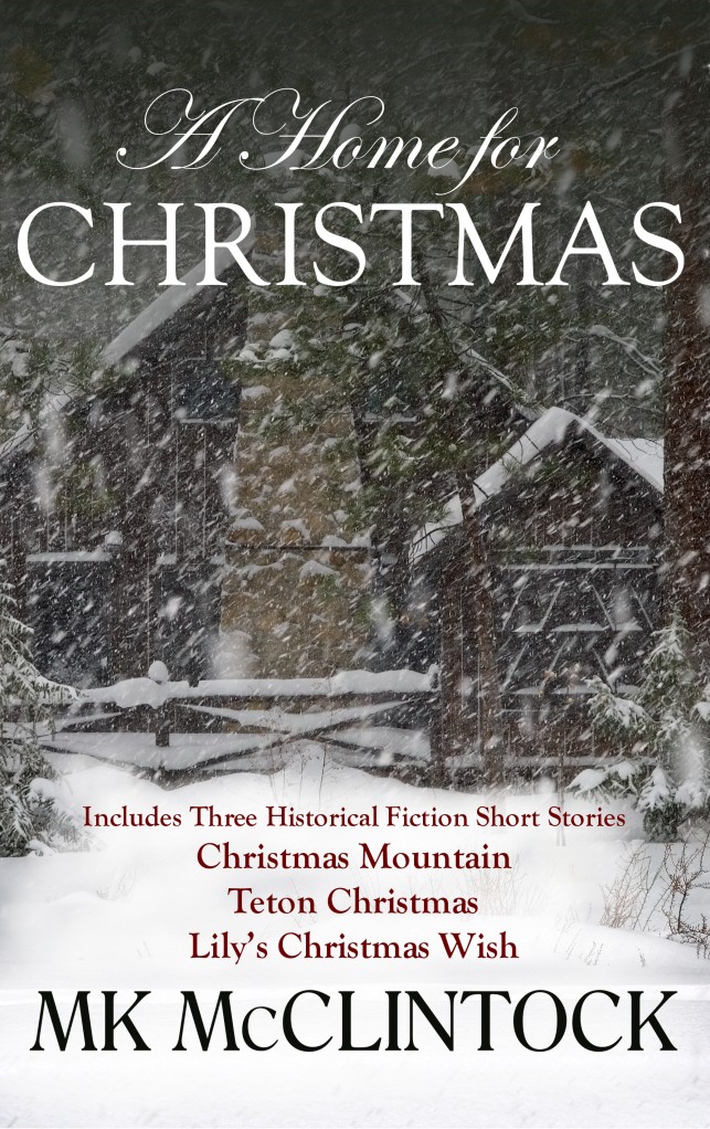 A Home for Christmas by MK McClintock – Review + Giveaway @hfvbt @MKMcClintock #SweetRomance #Christmas